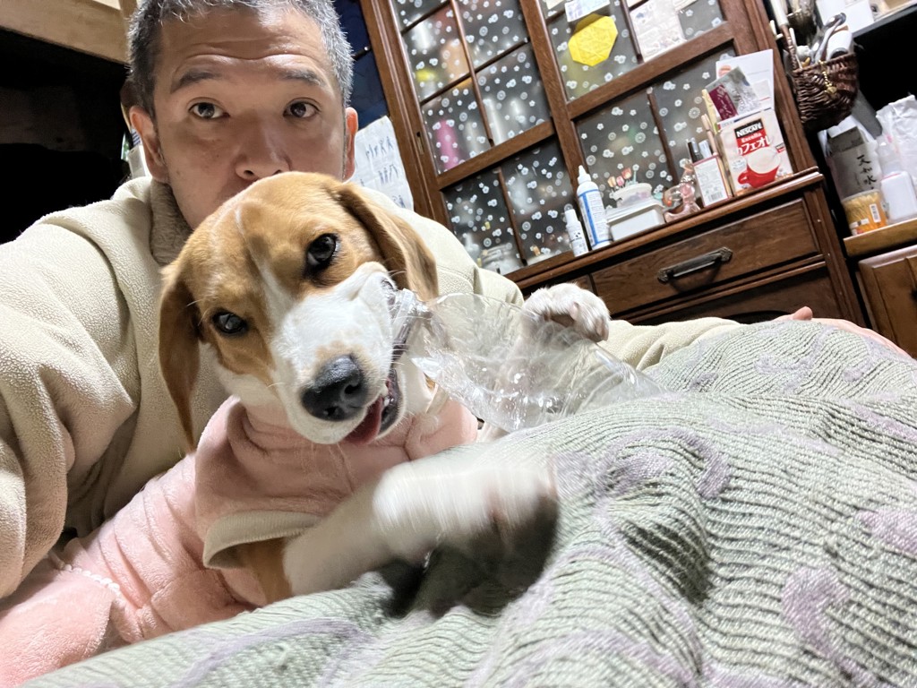 なっつん