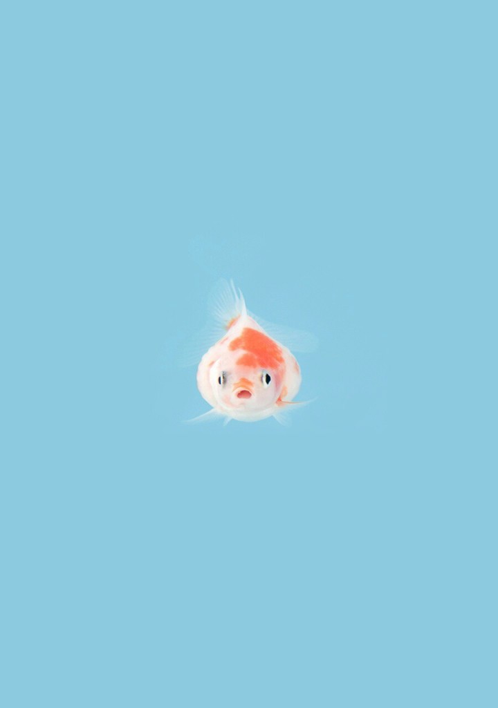 ユーザーアイコン