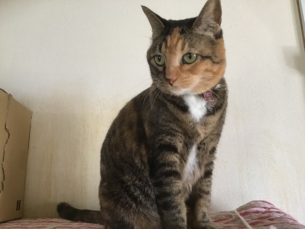 ララちゃんママ