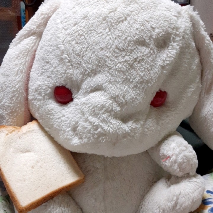 大嵐のモンチッチ