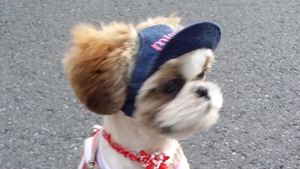むー