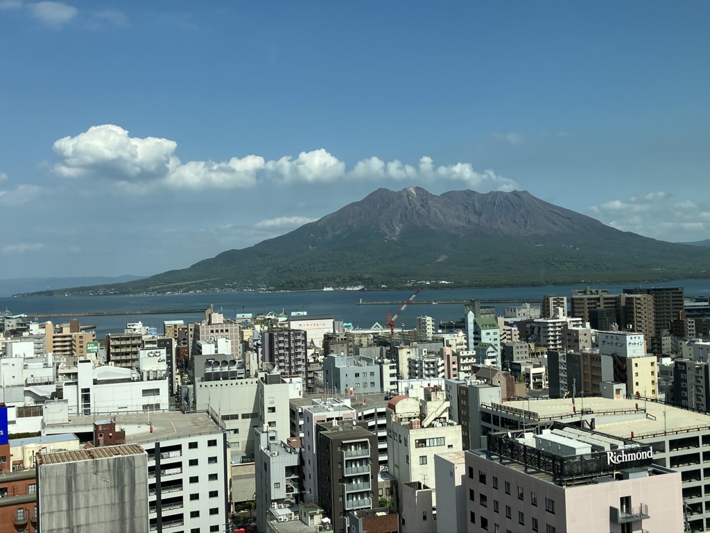 しらこん