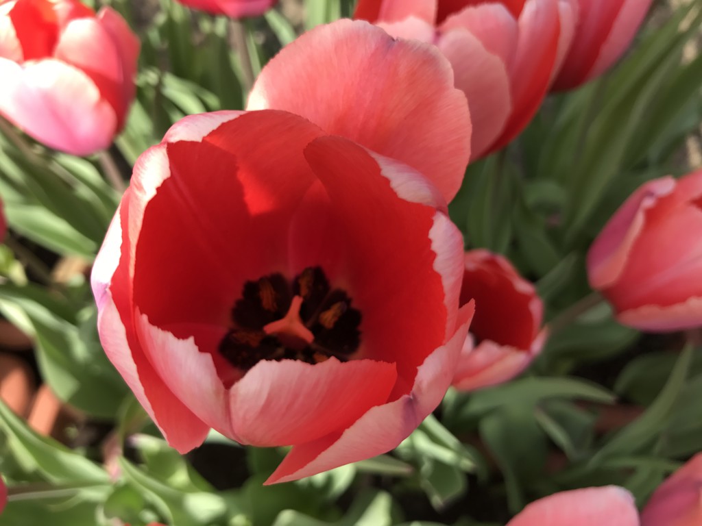 ユーザーアイコン