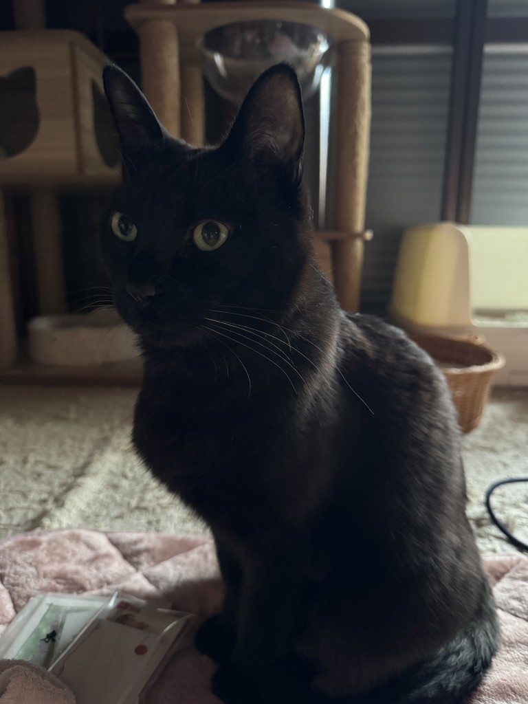 ルナ