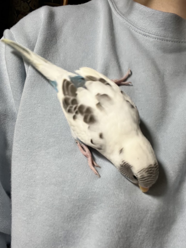 ろさ