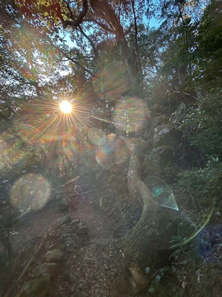 【新品未開封】SUKALA ユーティリティフレアレギンスSサイズ 4571688971327_L.jpg