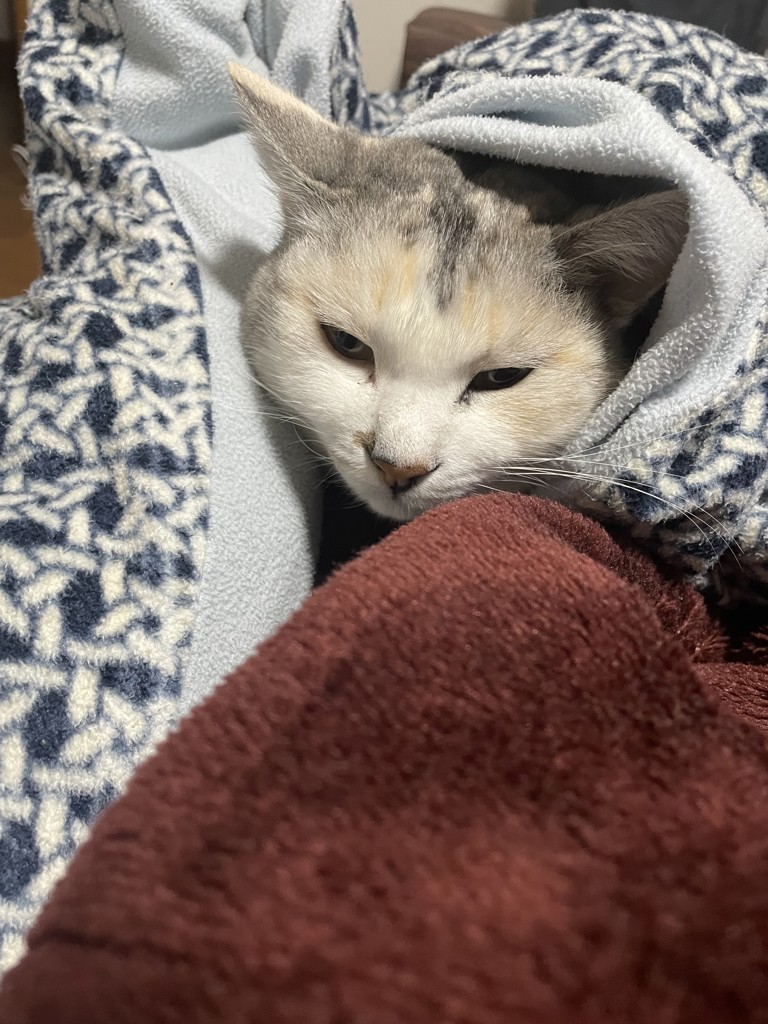 か