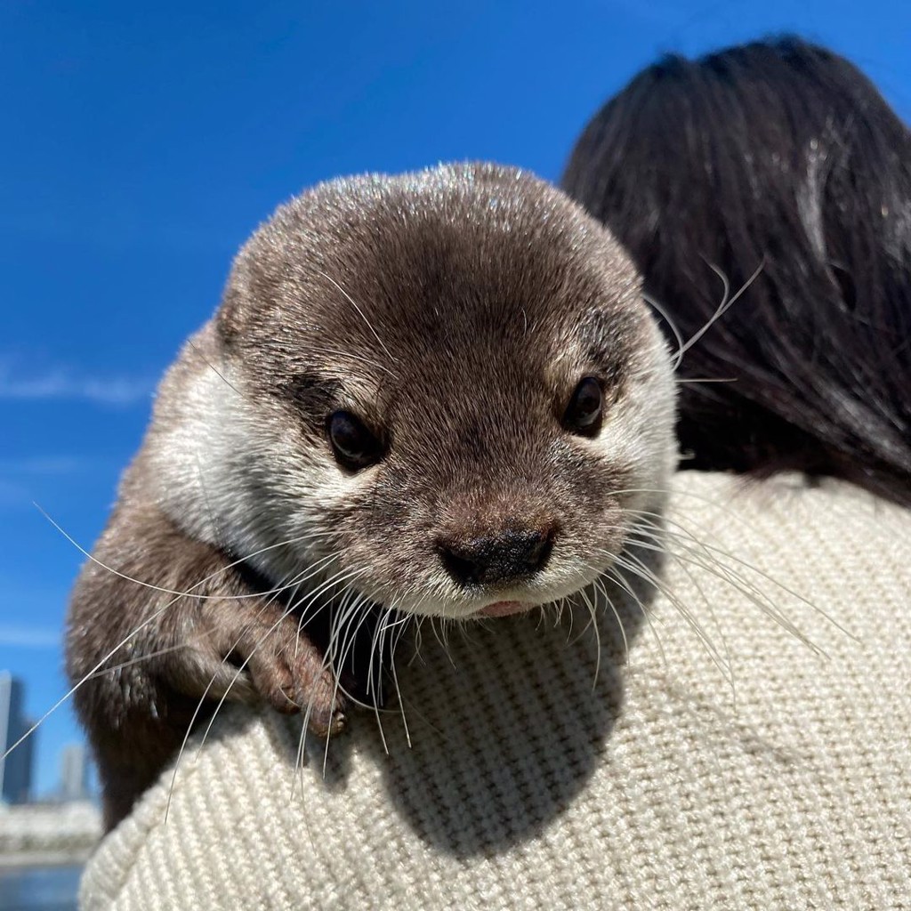 たかぴ