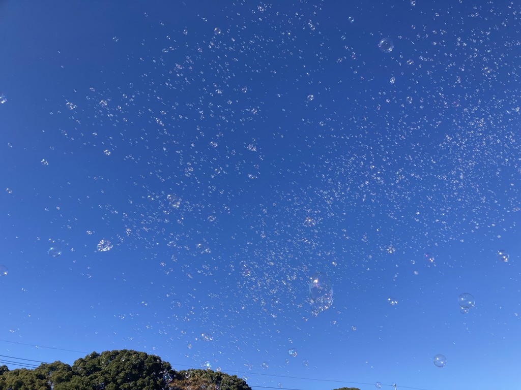 りんご