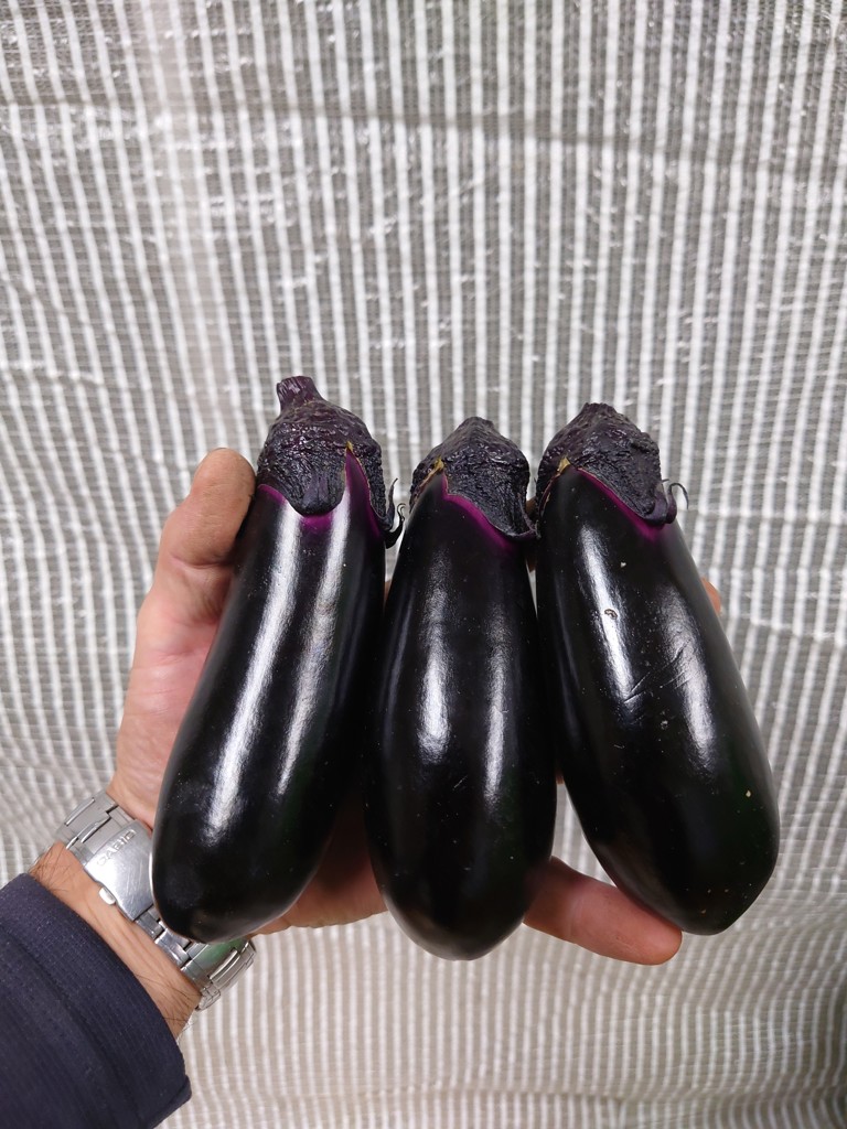 なす袋大(0.02mmX23cmX33cmX100枚 単品): 包装・販促資材