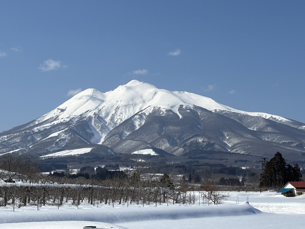 zensei 