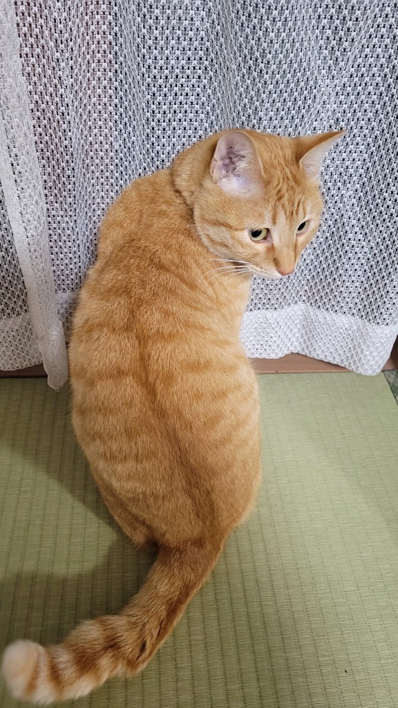 ユーザーアイコン
