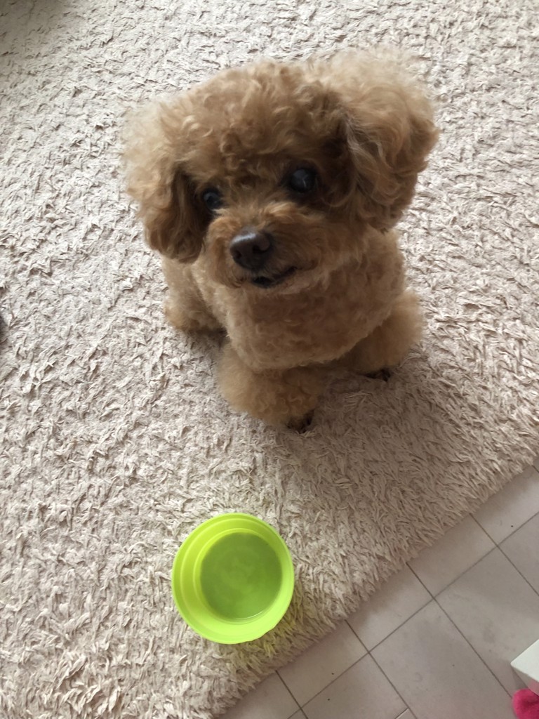 みきちん