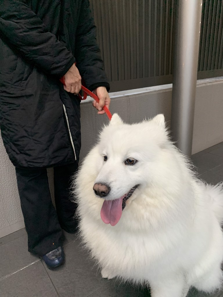 ユーザーアイコン