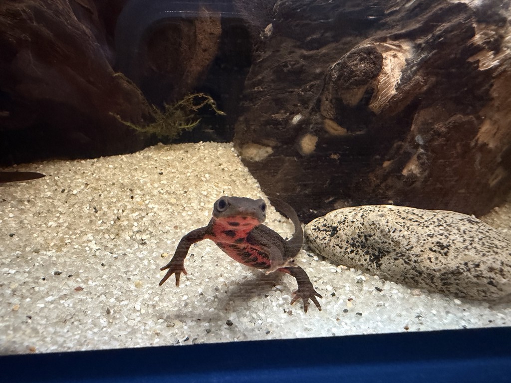 ユーザーアイコン