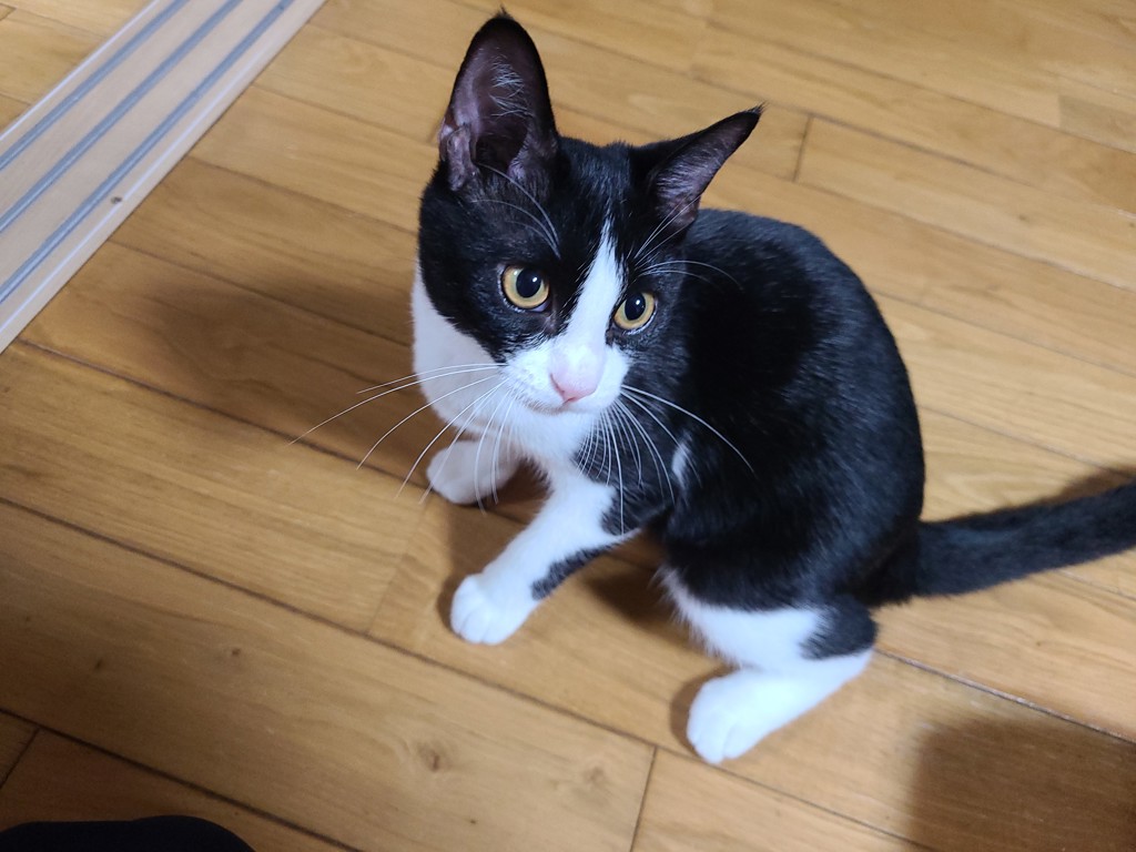 no name