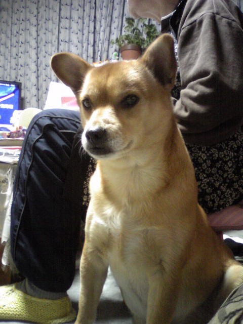 no name
