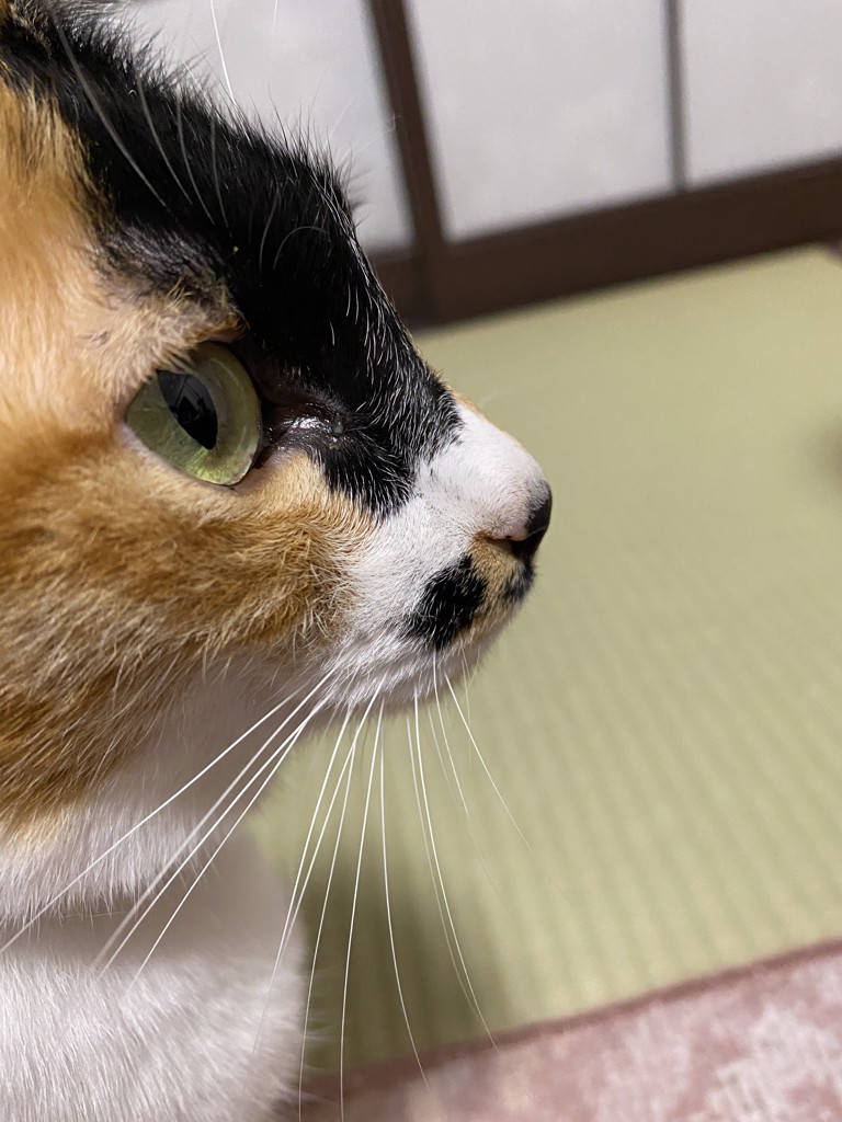 なぎママ