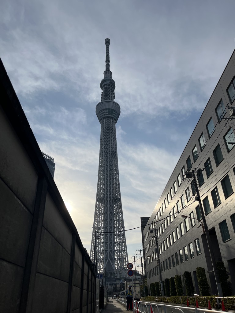 スキンヴェール デイセラム: シリーズから探す / ナリスオンライン