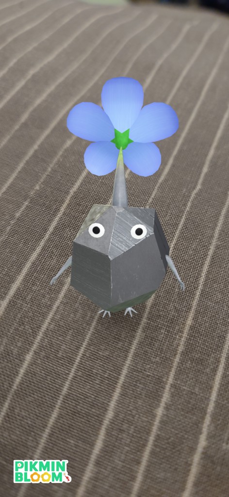 まみちゃん
