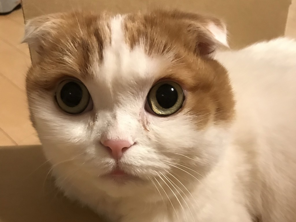 JUN