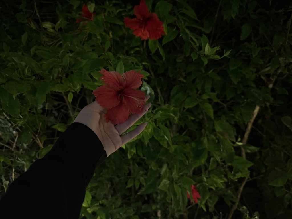 SUKALA】アクティブシアーカラークロップドTee(M・Lサイズ モーヴ