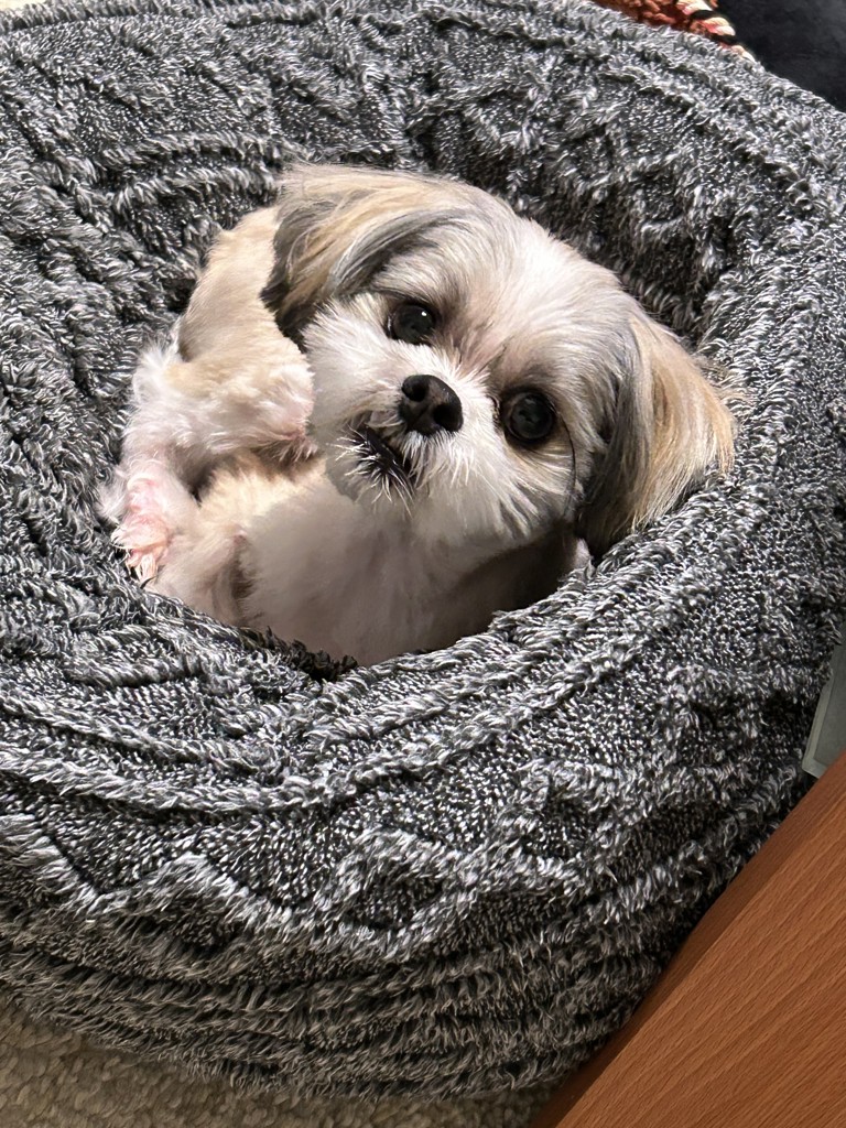 ちびママ
