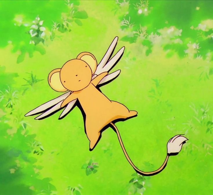 わに