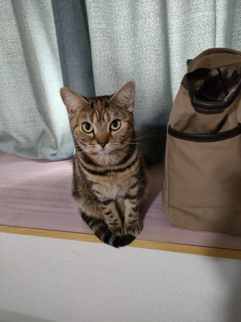 no name