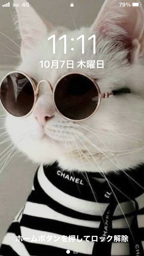 ちこみ