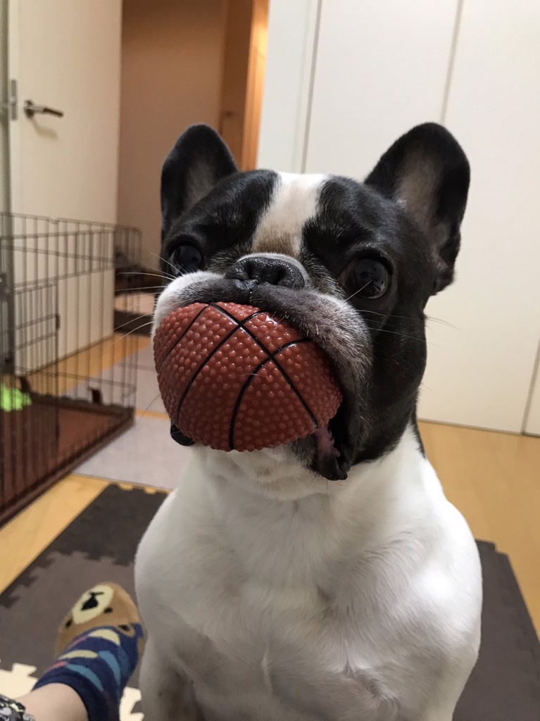 キッシー
