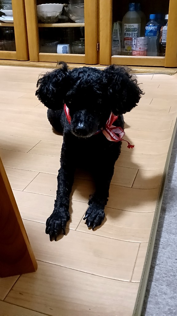 はしやん