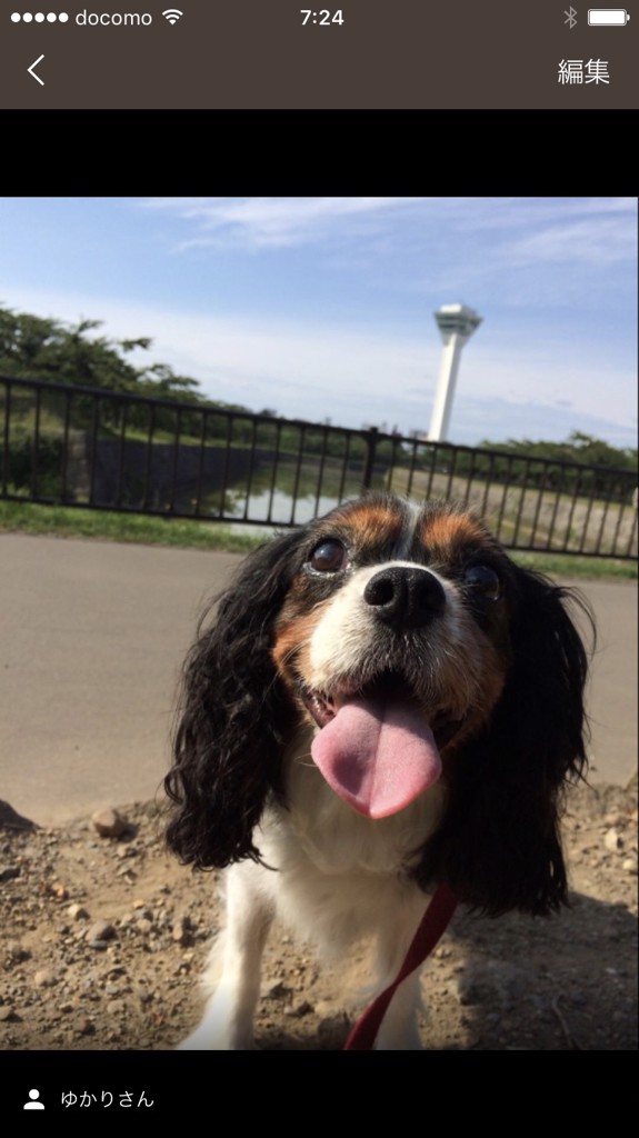 ユーザーアイコン