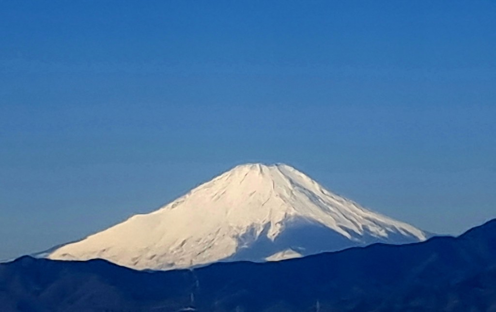 愼さん