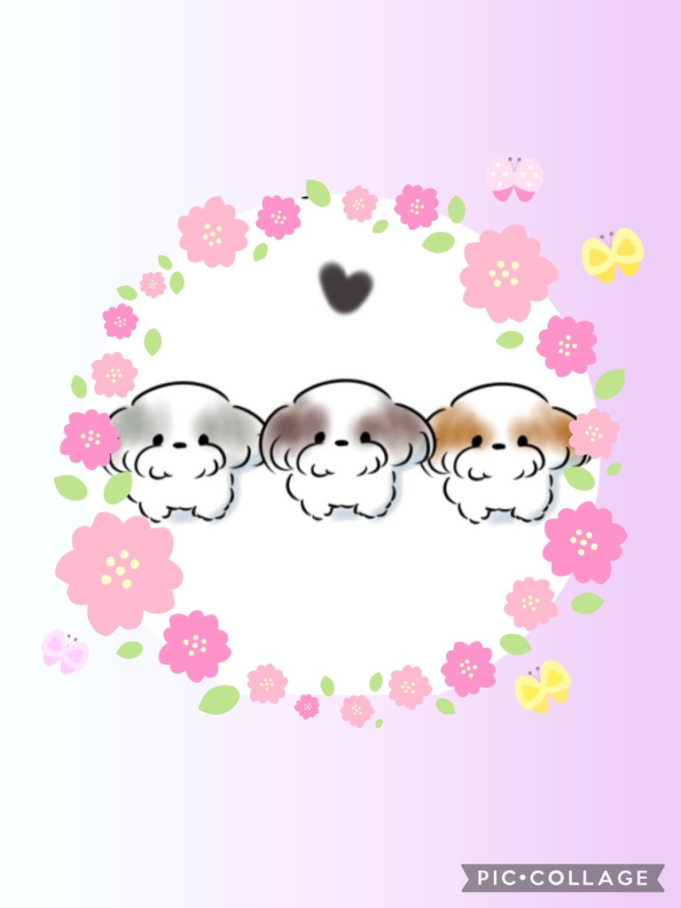 みんみ