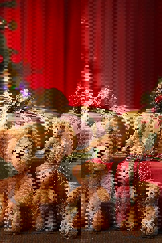 NANA様 ブーツ Sダークブラウン NANA様 ブーツ Sダークブラウン 楽天市場】nana ブーツ（靴）の通販