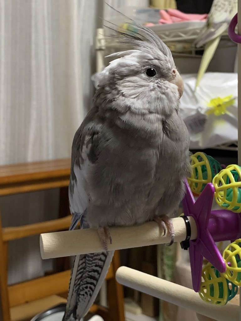 かず