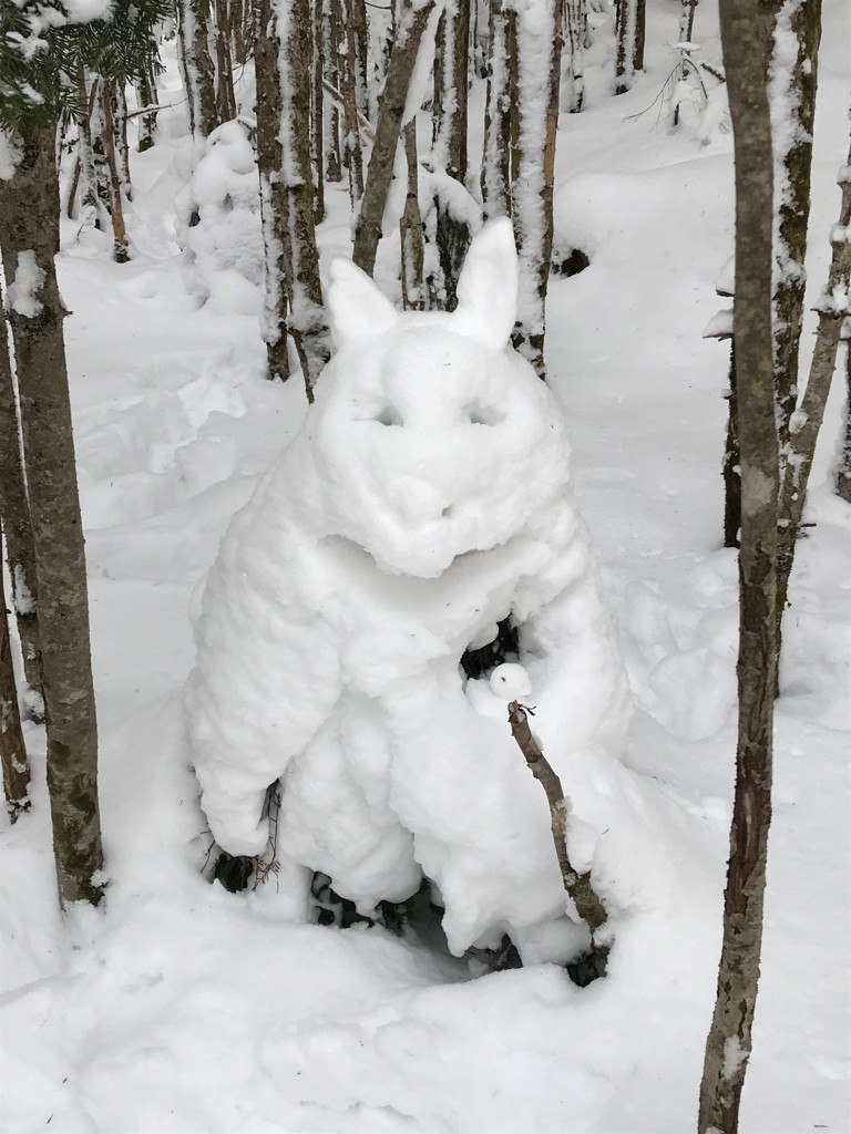 のだっち