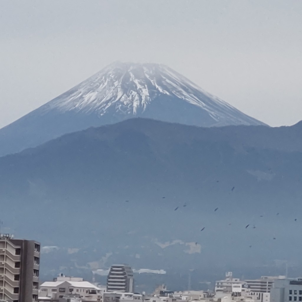 ミチコ