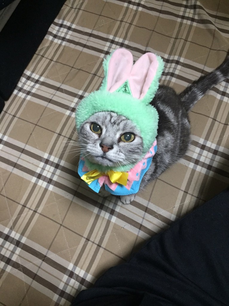 シュウちゃん