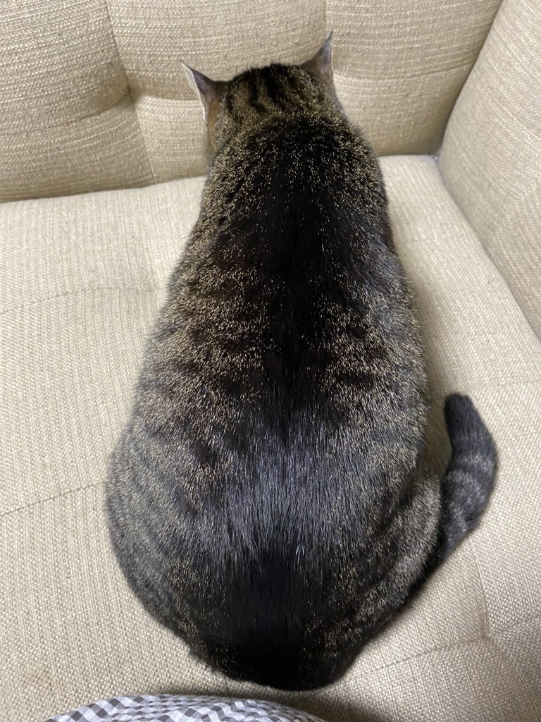 AKI