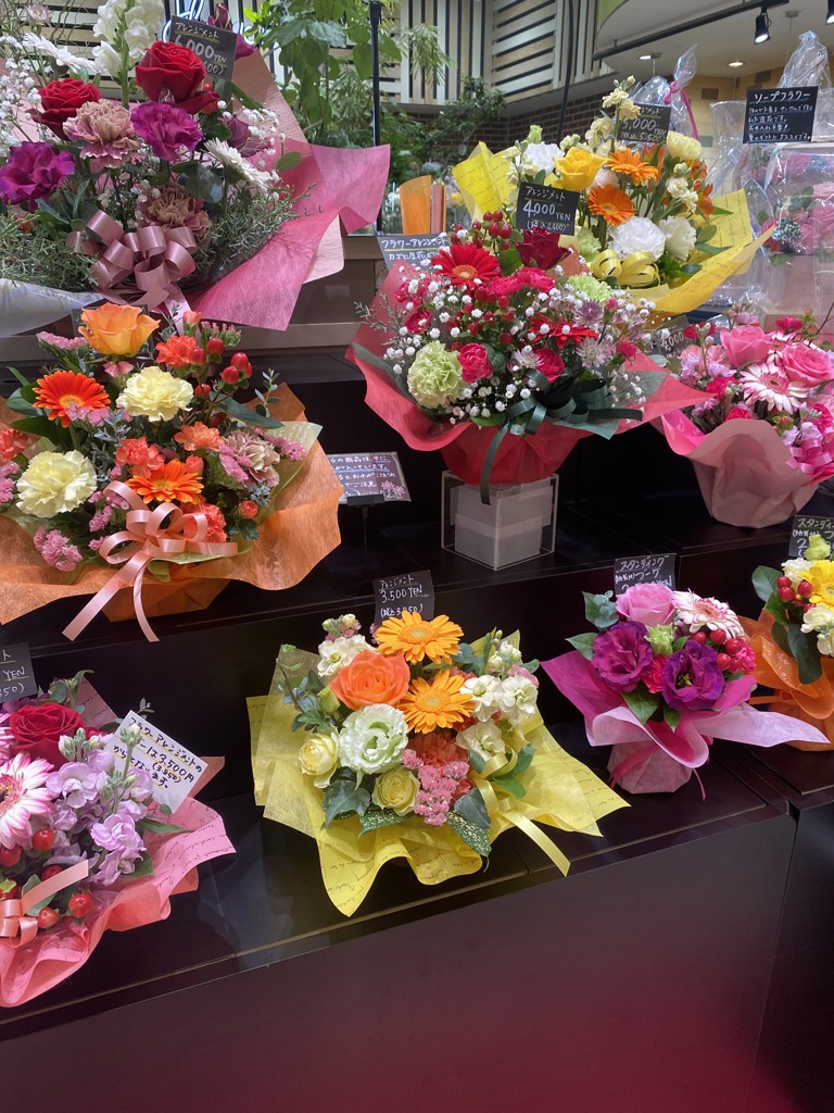 ビューティケア コットン(通常購入): シリーズから探す / ナリス