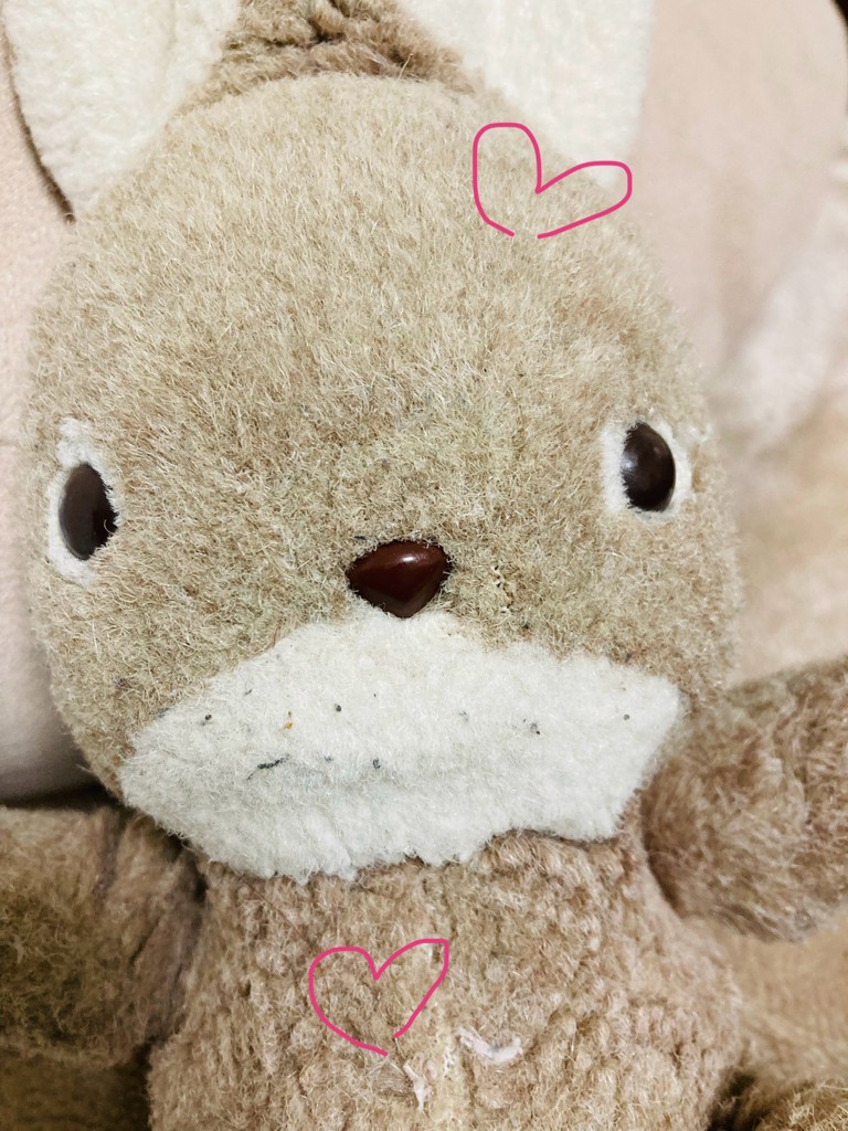 ばなうさ