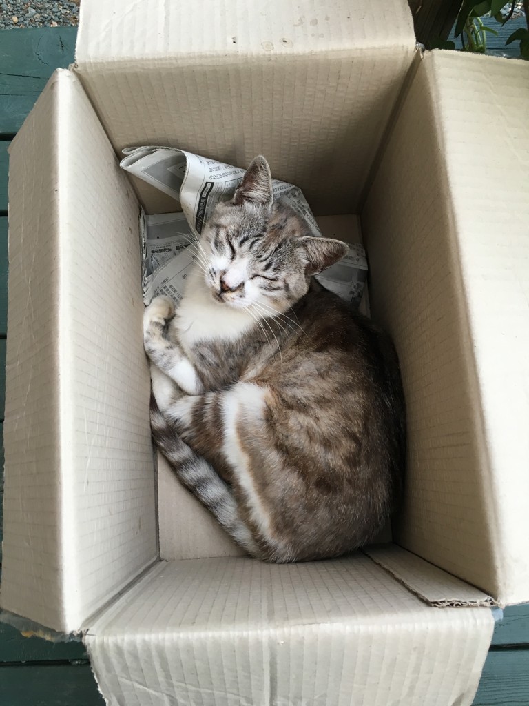 ユーザーアイコン