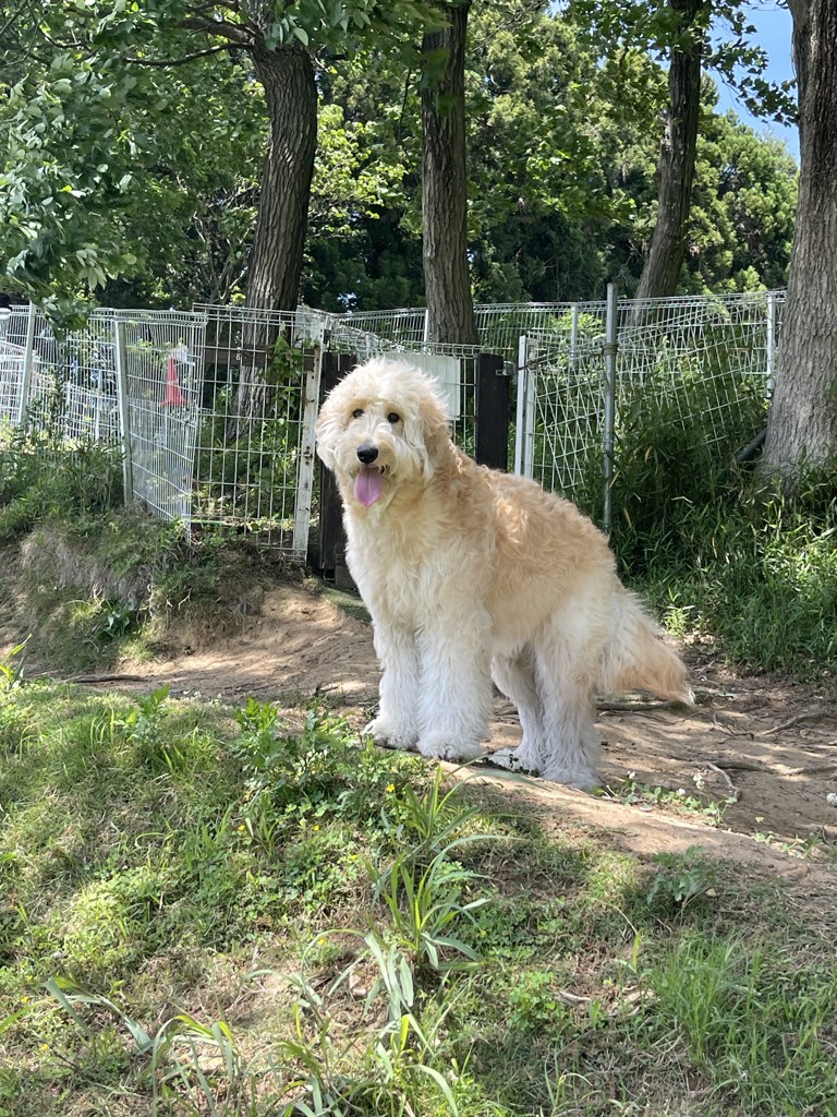 てぃんかーべる