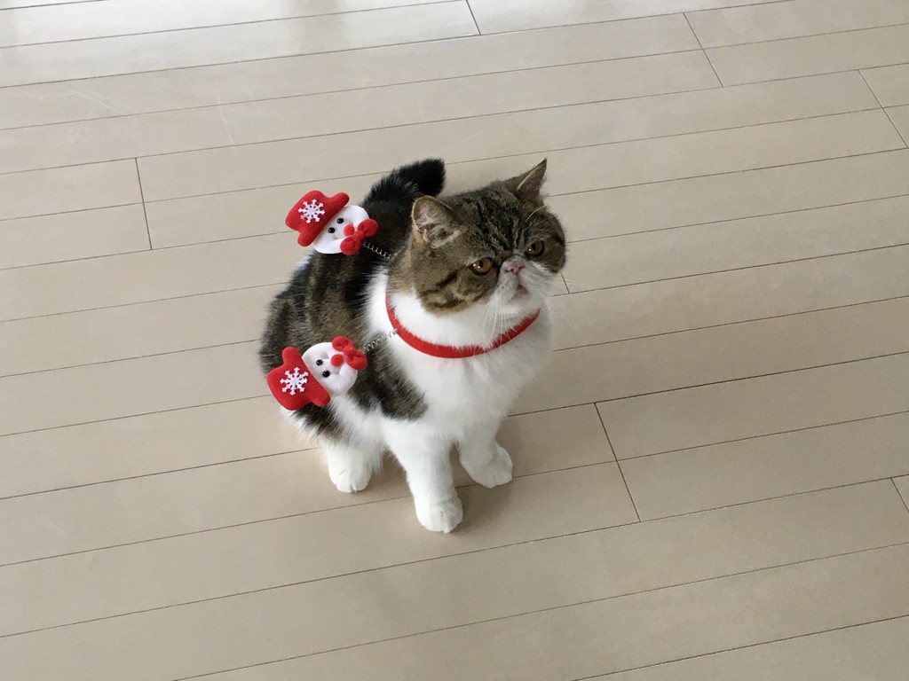 よーさん