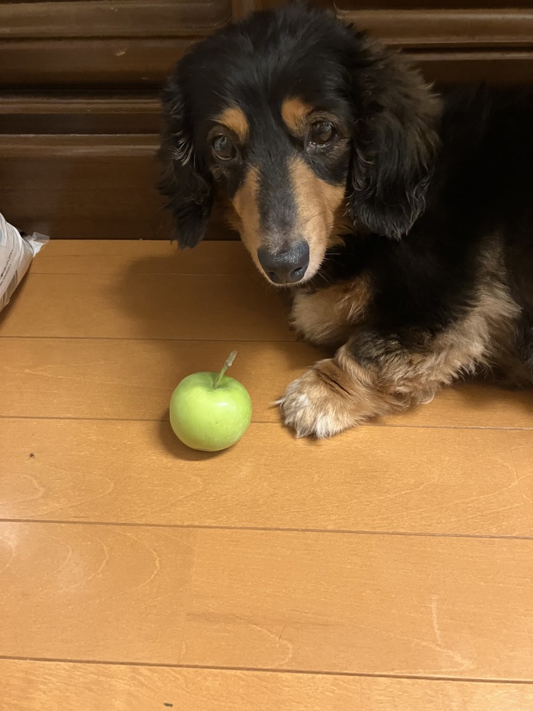 ななぼ