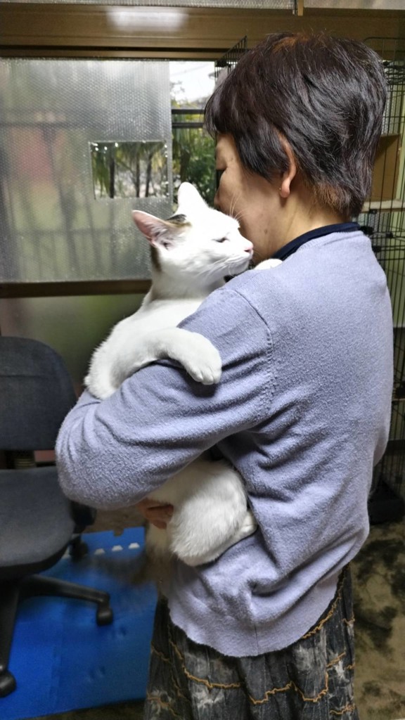 まぁー猫