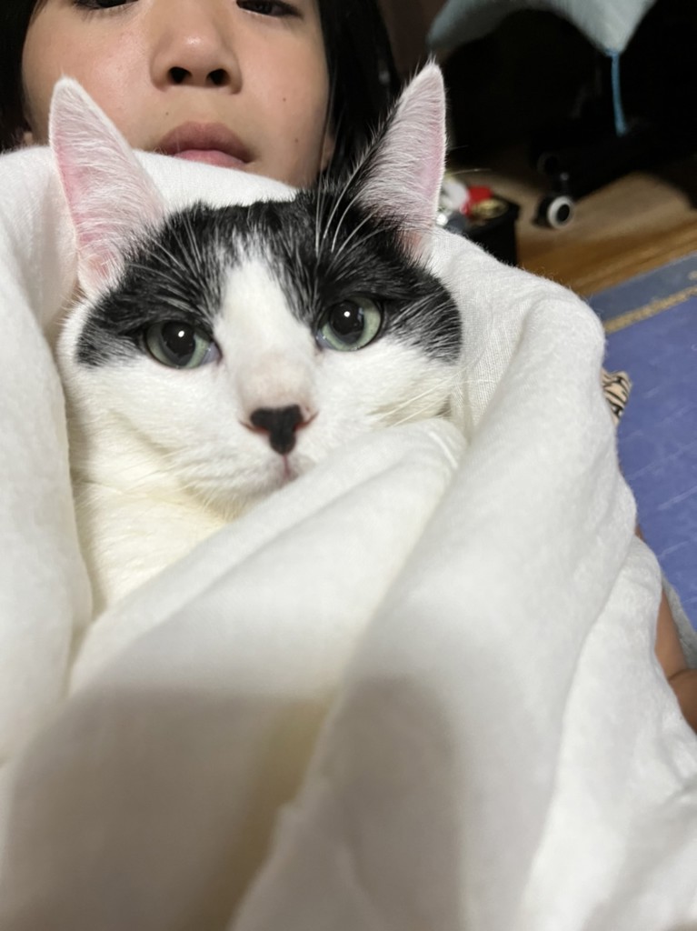 きぃちゃん