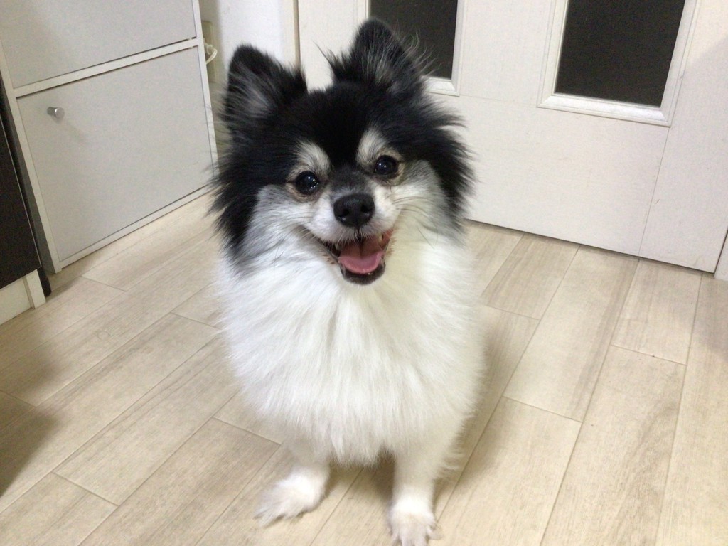 ヒロコ